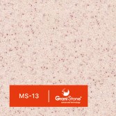 MS-13