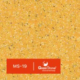 MS-19