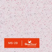 MS-29
