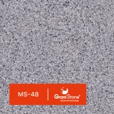 MS-48